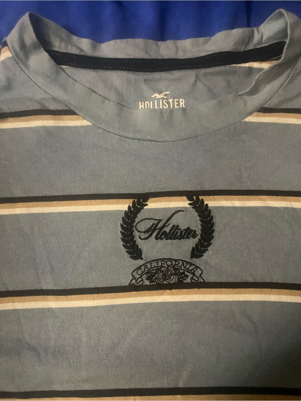 Hollister Light Blue Striped Short Sleeve Crewneck Tee